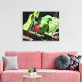 Rotflügelpapagei auf Baumlippe Leinwanddruck (Insitu (Wohnzimmer))