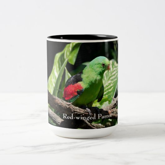 Rotflügelpapagei auf Baumlippe Zweifarbige Tasse (Mittel)