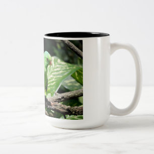 Rotflügelpapagei auf Baumlippe Zweifarbige Tasse