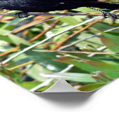 Rotflügge Poster (Ecke)