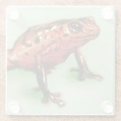 Rotfrosch-Untersetzer, Wildtierskizze Glasuntersetzer (Rückseite)