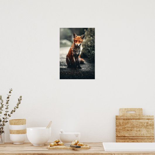 Rotfuchs am Boden Poster (Küche)