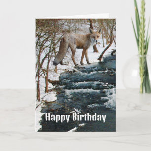 Rotfuchs am Creek Winter Geburtstag  Karte