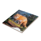 Rotfuchs auf einem Baumstamm Fliese (Seite)