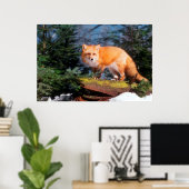 Rotfuchs auf einem Baumstamm Poster (Heimbüro)