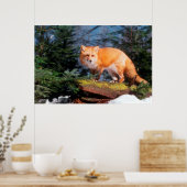 Rotfuchs auf einem Baumstamm Poster (Küche)