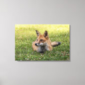 Rotfuchs auf einem Bettsockel aus Klee (horizontal Leinwanddruck (Vorderseite)