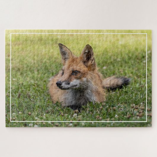 Rotfuchs auf einem Bettsockel aus Klee (horizontal Puzzle (Horizontal)