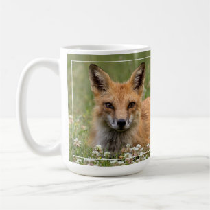 Rotfuchs auf einem Bettsockel Kaffeetasse