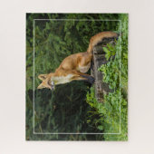 Rotfuchs auf einem Sockel Puzzle (Vertikal)