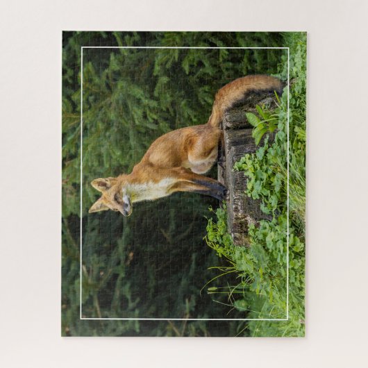 Rotfuchs auf einem Sockel Puzzle (Vertikal)