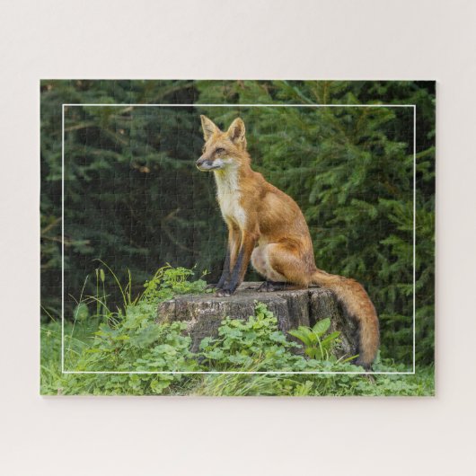 Rotfuchs auf einem Sockel Puzzle (Horizontal)