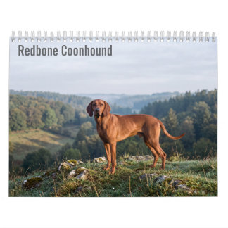 Rotfuchs Coonhounds 2027 Wandkalender