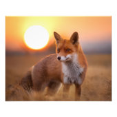 Rotfuchs Fotodruck (Vorne)