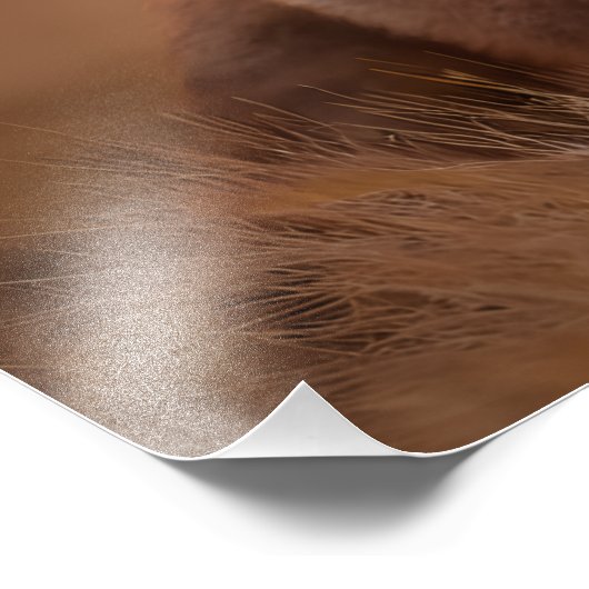Rotfuchs Fotodruck (Ecke)