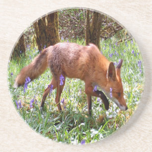 Rotfuchs Glockenblume Wald Blumen Natur Getränkeuntersetzer