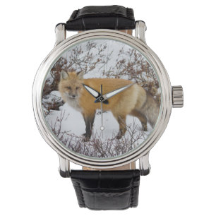 Rotfuchs im Schnee im Winter Armbanduhr