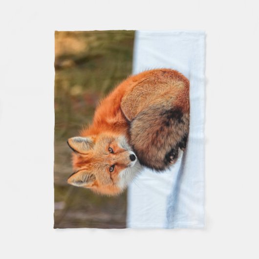 Rotfuchs im Schnee | Yukon Fleecedecke (Vorderseite)