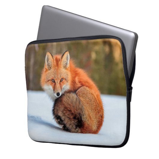 Rotfuchs im Schnee | Yukon Laptopschutzhülle (Vorderseite Links)