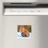 Rotfuchs im Schnee | Yukon Magnet (In Situ (Geschirrspüler))