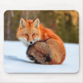 Rotfuchs im Schnee | Yukon Mousepad (Vorne)