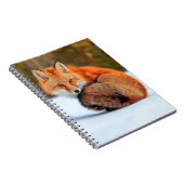 Rotfuchs im Schnee | Yukon Notizblock (Rechte Seite)