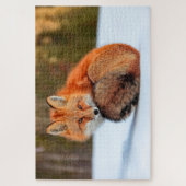 Rotfuchs im Schnee | Yukon Puzzle (Vertikal)