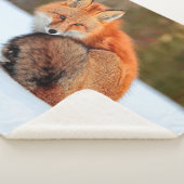 Rotfuchs im Schnee | Yukon Sherpadecke (3/4)