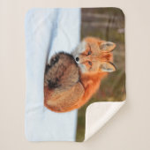 Rotfuchs im Schnee | Yukon Sherpadecke (Vorderseite)