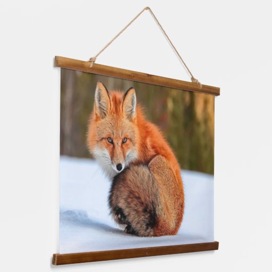 Rotfuchs im Schnee | Yukon Wandteppich Mit Holzrahmen (Gewinkelt)