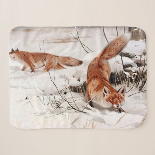 Rotfuchs im Schneewinter (von Wilhelm Kuhnert) Sherpadecke (Vorderseite (Horizontal))