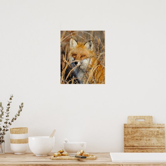 Rotfuchs im Unkraut Poster (Küche)