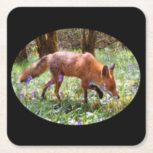 Rotfuchs im Wald Glockenblumen Forstwiese Rechteckiger Pappuntersetzer