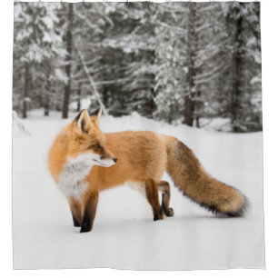 Rotfuchs im weißen Schnee Duschvorhang
