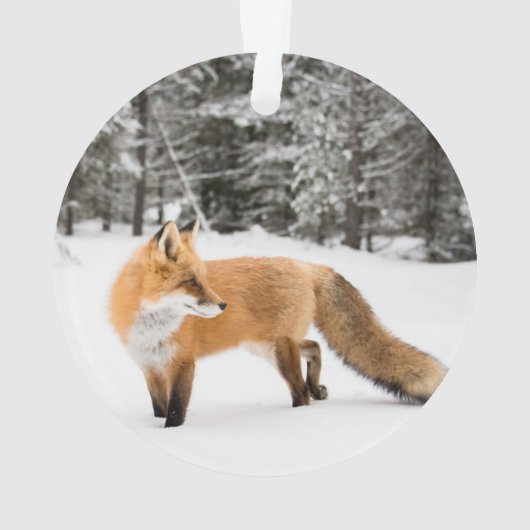 Rotfuchs im weißen Schnee Ornament (Rückseite)