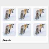 Rotfuchs im Winter Quadratischer Aufkleber (Blatt)