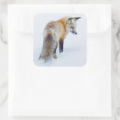 Rotfuchs im Winter Quadratischer Aufkleber (Tasche)