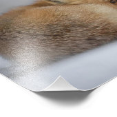 Rotfuchs im Winterschnee Fotodruck (Ecke)