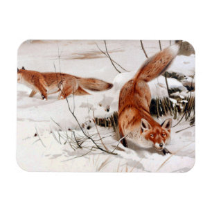 Rotfuchs im Winterschnee (von Wilhelm Kuhnert) Magnet