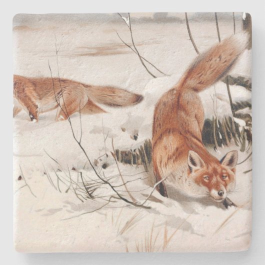 Rotfuchs im Winterschnee (von Wilhelm Kuhnert) Steinuntersetzer (Vorderseite)