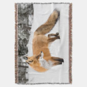 Rotfuchs in weißem Schnee Decke (Vorderseite Vertikal)