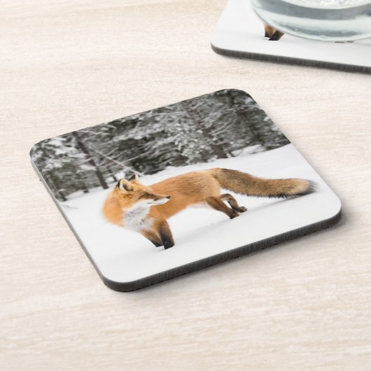 Rotfuchs in weißem Schnee Getränkeuntersetzer (Linke Seite)