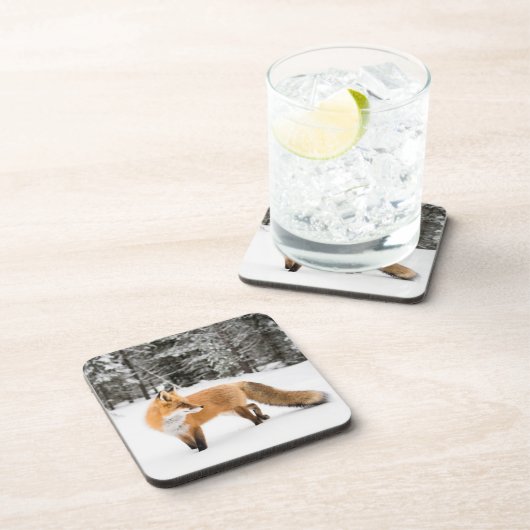 Rotfuchs in weißem Schnee Getränkeuntersetzer (Rechte Seite)