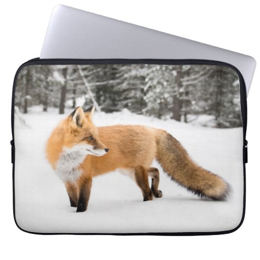 Rotfuchs in weißem Schnee Laptopschutzhülle (Vorderseite)