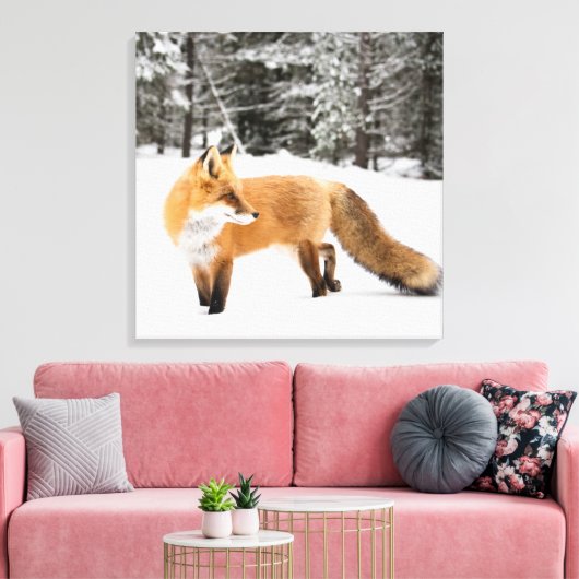 Rotfuchs in weißem Schnee Leinwanddruck (Insitu (Wohnzimmer))