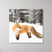 Rotfuchs in weißem Schnee Leinwanddruck (Vorderseite)