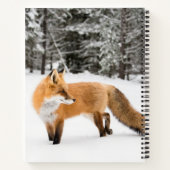 Rotfuchs in weißem Schnee Notizblock (Rückseite)
