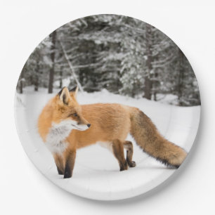 Rotfuchs in weißem Schnee Pappteller