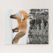 Rotfuchs in weißem Schnee Puzzle (Horizontal)