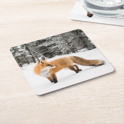 Rotfuchs in weißem Schnee Rechteckiger Pappuntersetzer (angewinkelt)
